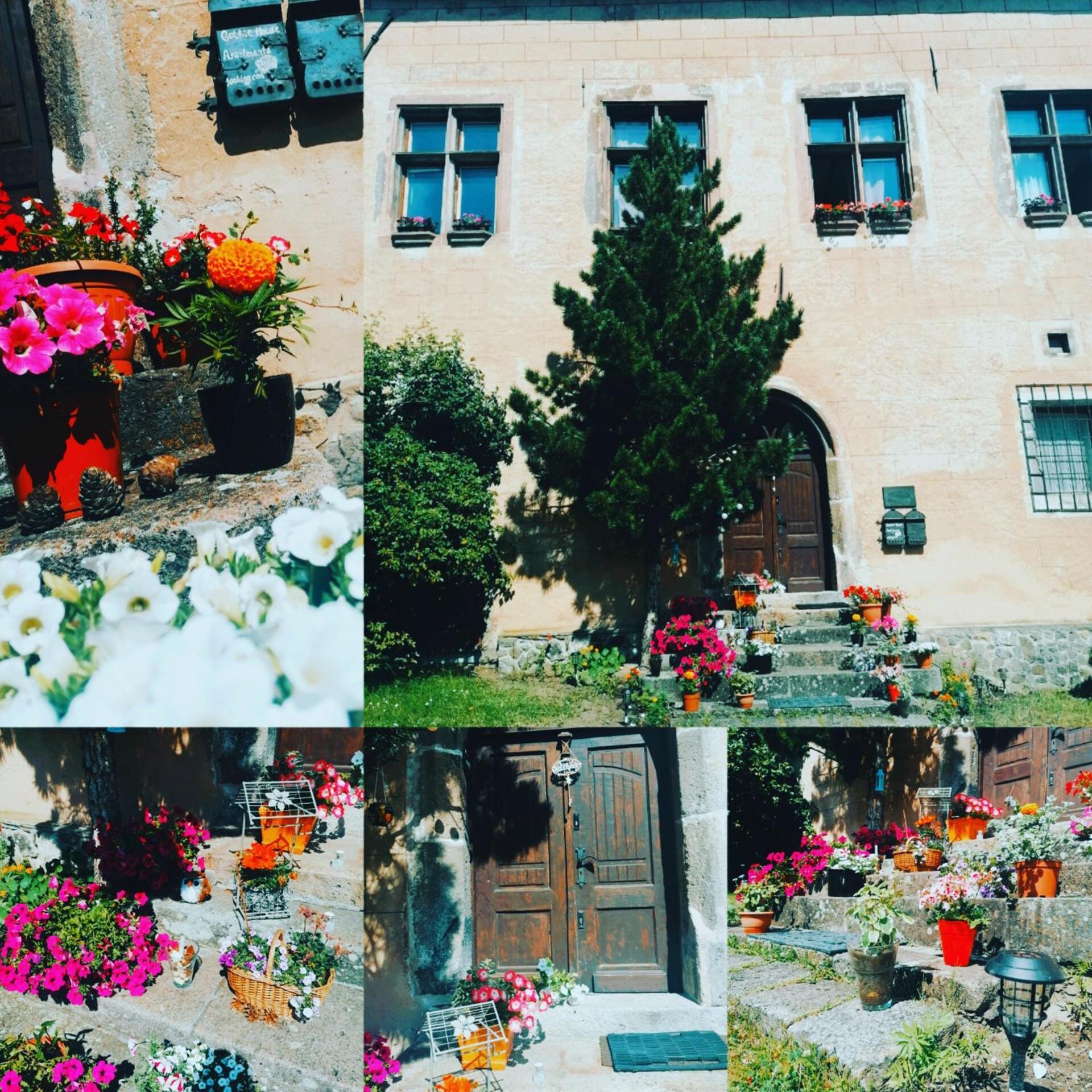 Gothic House Apartments Kremnica Esterno foto